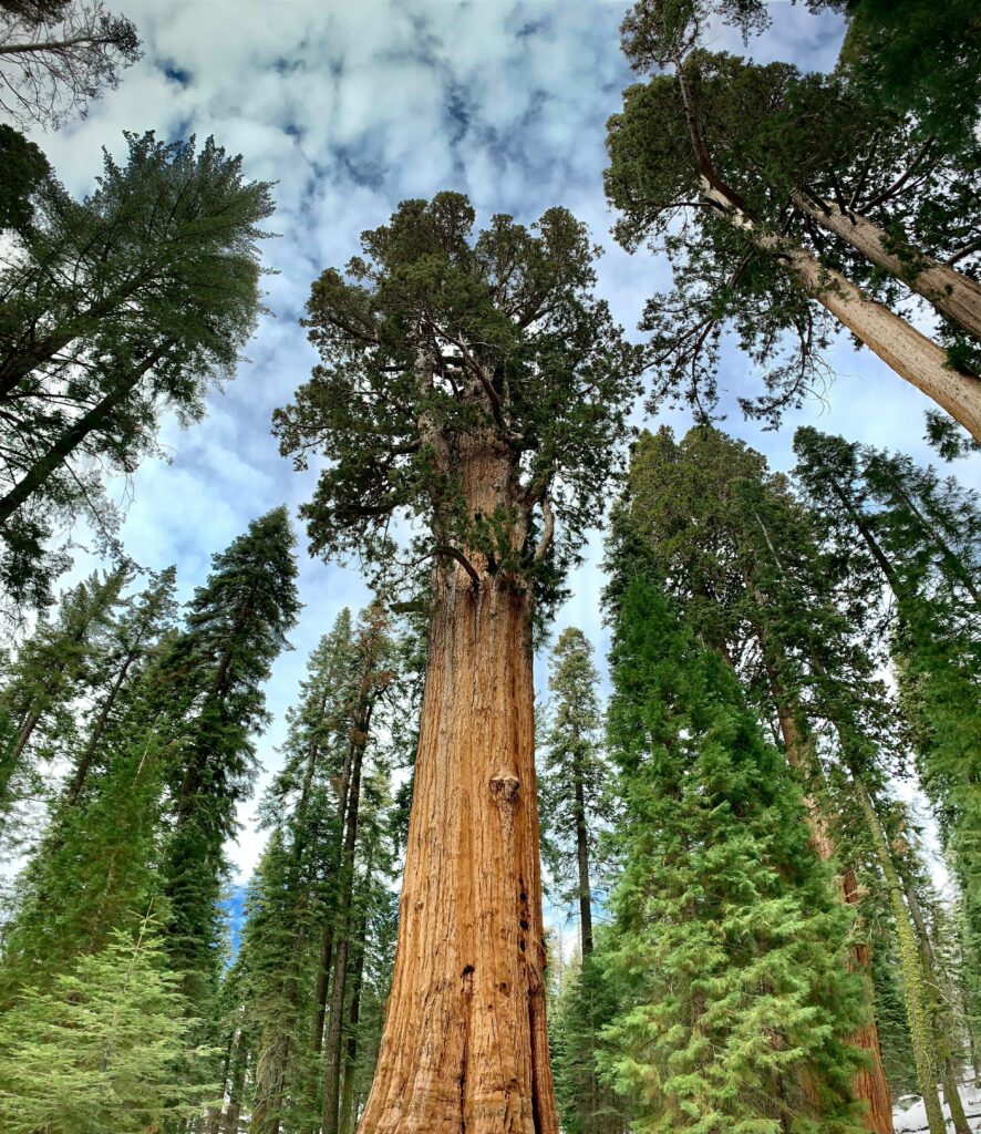 anagha varrier tqdzishnvp8 unsplash